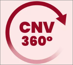 Mentoria CNV 360º